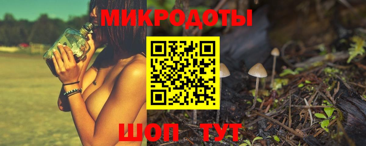 Галлюциногенные грибы Psilocybe Самара